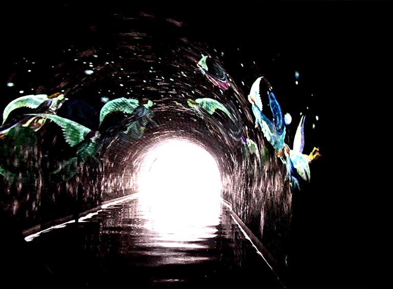 Lichtprojectie met vogels geïnspireerd op Jheronimus Bosch in een tunnel van de Binnendieze in 's-Hertogenbosch.